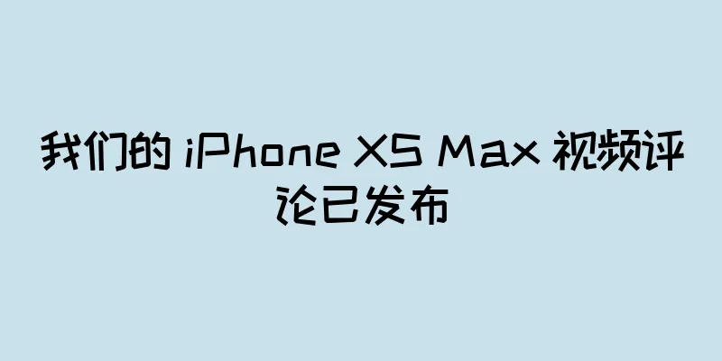我们的 iPhone XS Max 视频评论已发布