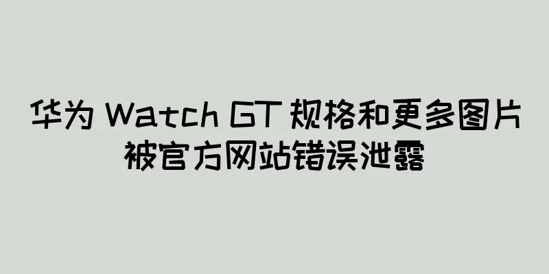 华为 Watch GT 规格和更多图片被官方网站错误泄露