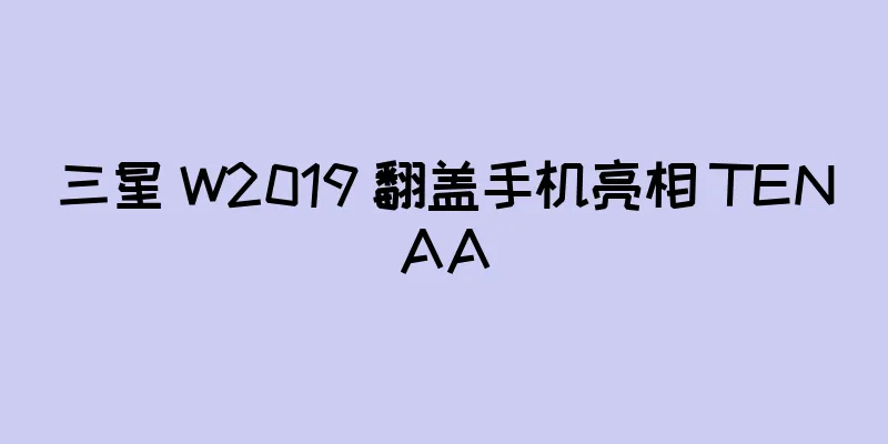三星 W2019 翻盖手机亮相 TENAA
