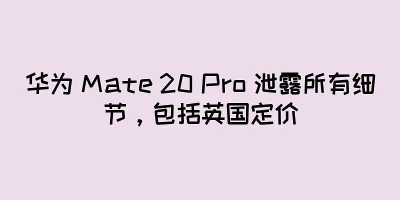 华为 Mate 20 Pro 泄露所有细节，包括英国定价