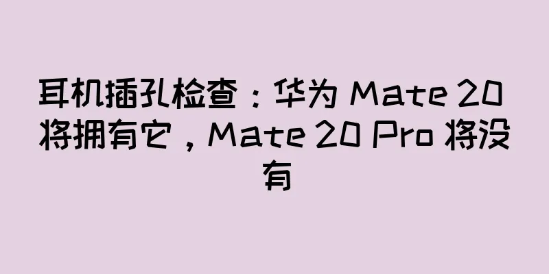 耳机插孔检查：华为 Mate 20 将拥有它，Mate 20 Pro 将没有