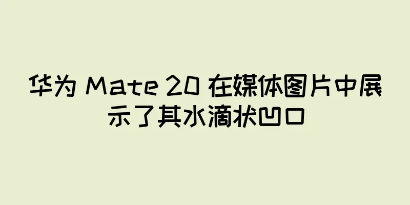 华为 Mate 20 在媒体图片中展示了其水滴状凹口