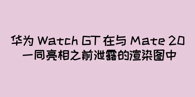 华为 Watch GT 在与 Mate 20 一同亮相之前泄露的渲染图中