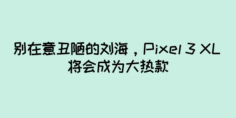 别在意丑陋的刘海，Pixel 3 XL 将会成为大热款