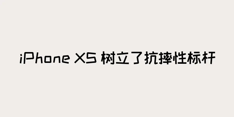 iPhone XS 树立了抗摔性标杆