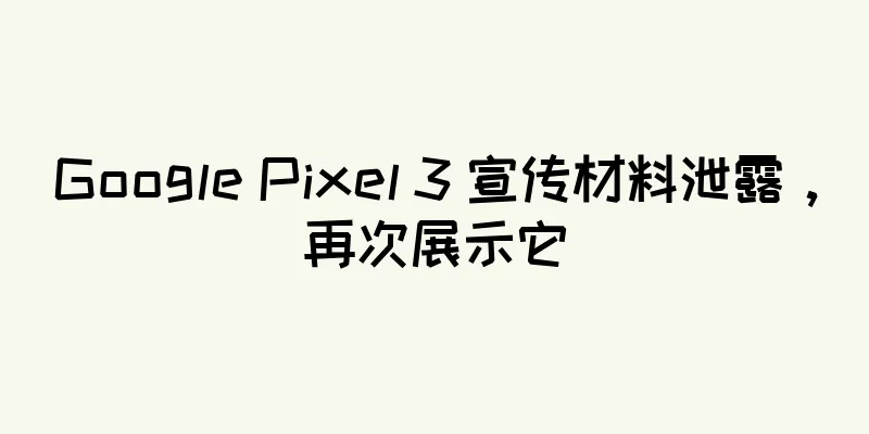 Google Pixel 3 宣传材料泄露，再次展示它