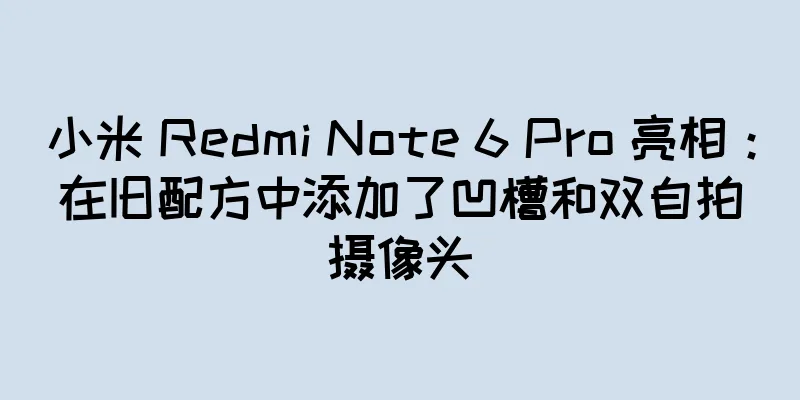 小米 Redmi Note 6 Pro 亮相：在旧配方中添加了凹槽和双自拍摄像头