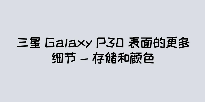 三星 Galaxy P30 表面的更多细节 - 存储和颜色