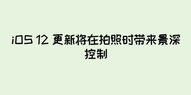 iOS 12 更新将在拍照时带来景深控制