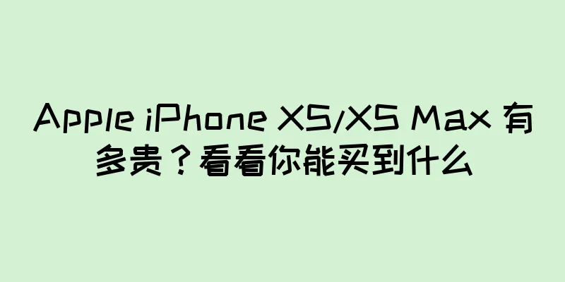 Apple iPhone XS/XS Max 有多贵？看看你能买到什么
