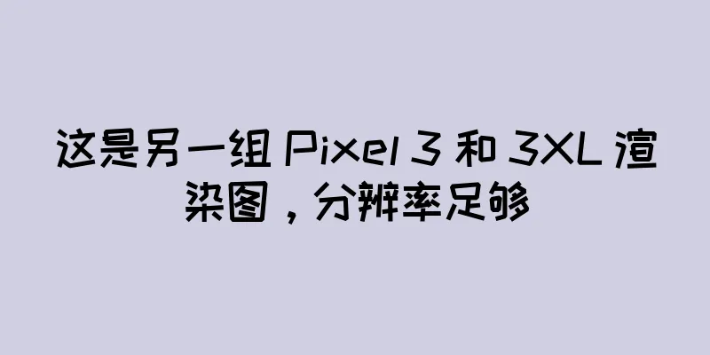 这是另一组 Pixel 3 和 3XL 渲染图，分辨率足够