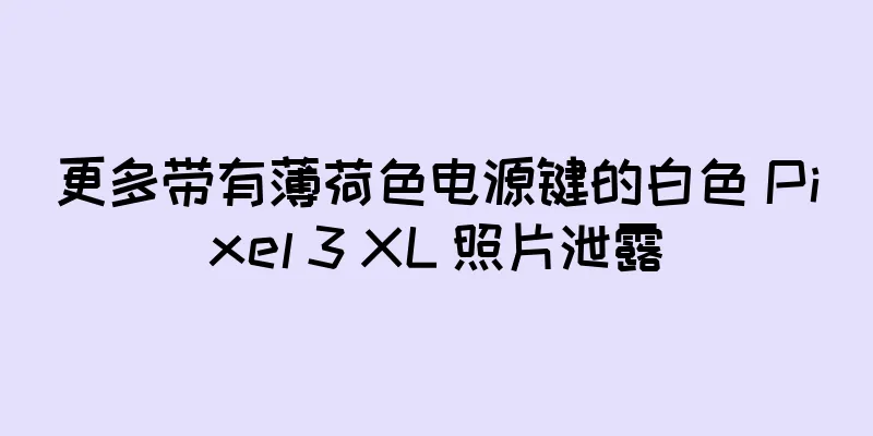 更多带有薄荷色电源键的白色 Pixel 3 XL 照片泄露
