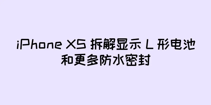 iPhone XS 拆解显示 L 形电池和更多防水密封