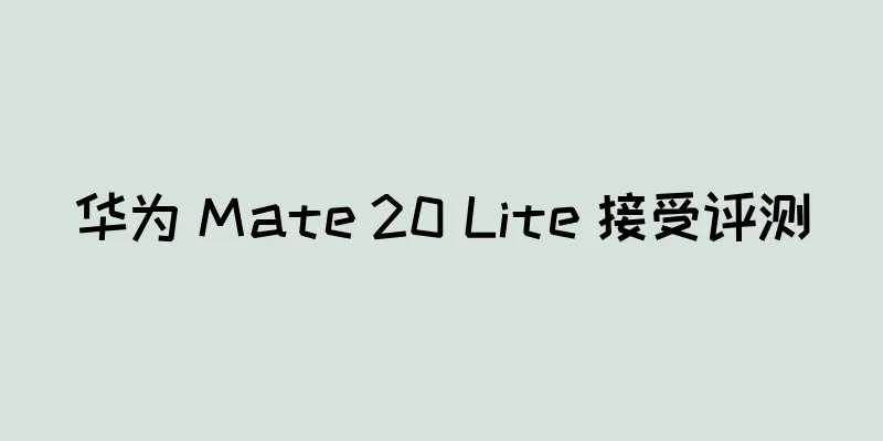 华为 Mate 20 Lite 接受评测