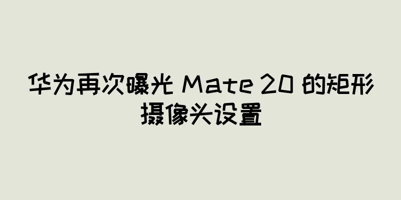 华为再次曝光 Mate 20 的矩形摄像头设置