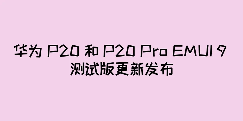 华为 P20 和 P20 Pro EMUI 9 测试版更新发布