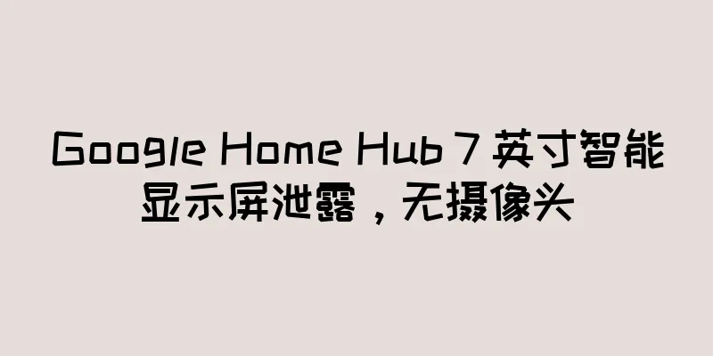 Google Home Hub 7 英寸智能显示屏泄露，无摄像头