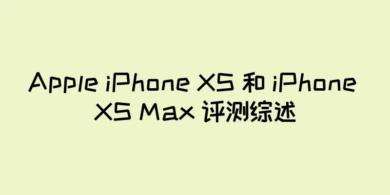 Apple iPhone XS 和 iPhone XS Max 评测综述