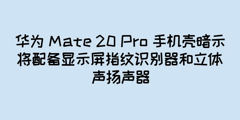 华为 Mate 20 Pro 手机壳暗示将配备显示屏指纹识别器和立体声扬声器