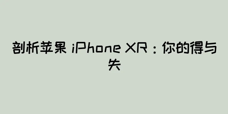 剖析苹果 iPhone XR：你的得与失