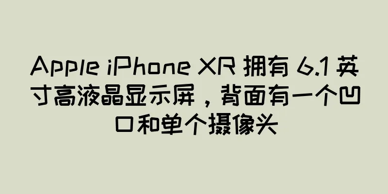 Apple iPhone XR 拥有 6.1 英寸高液晶显示屏，背面有一个凹口和单个摄像头