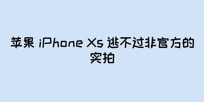 苹果 iPhone Xs 逃不过非官方的实拍