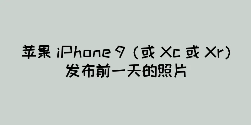 苹果 iPhone 9（或 Xc 或 Xr）发布前一天的照片