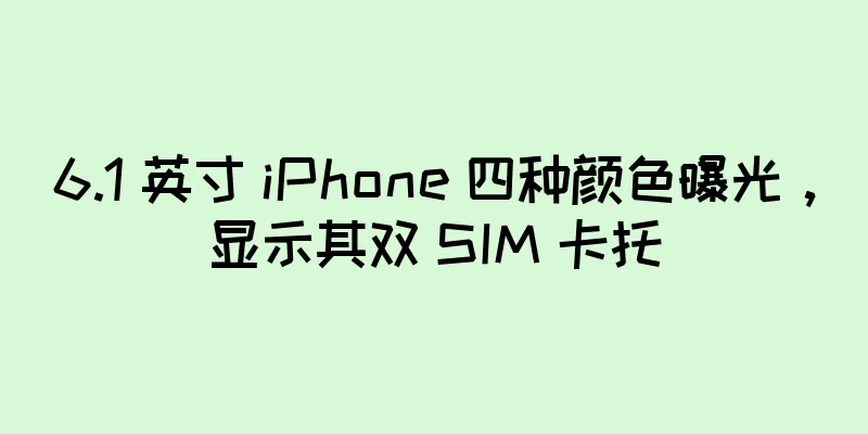 6.1 英寸 iPhone 四种颜色曝光，显示其双 SIM 卡托