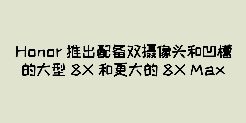 Honor 推出配备双摄像头和凹槽的大型 8X 和更大的 8X Max