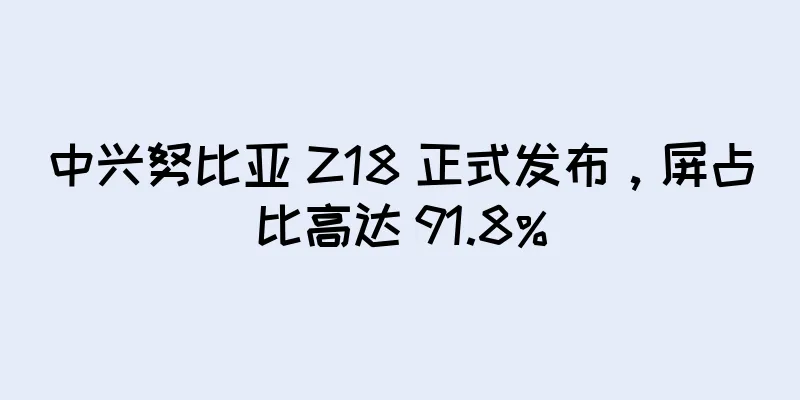 中兴努比亚 Z18 正式发布，屏占比高达 91.8%