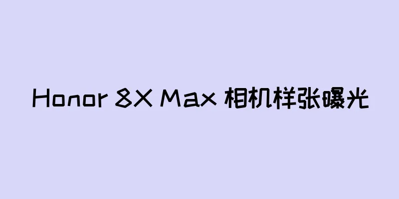 Honor 8X Max 相机样张曝光