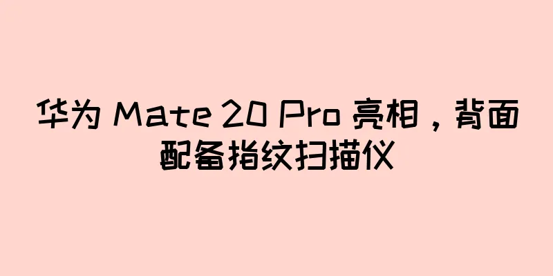 华为 Mate 20 Pro 亮相，背面配备指纹扫描仪
