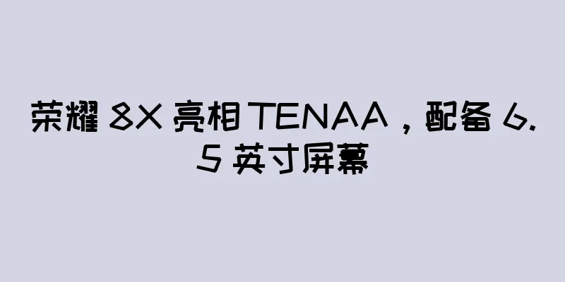 荣耀 8X 亮相 TENAA，配备 6.5 英寸屏幕