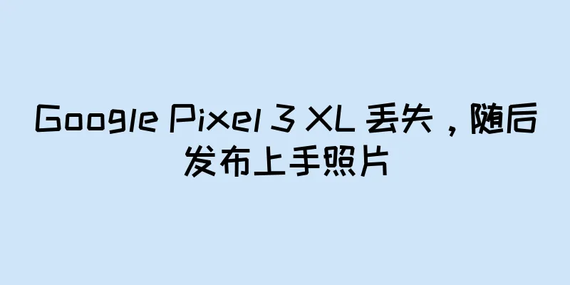 Google Pixel 3 XL 丢失，随后发布上手照片
