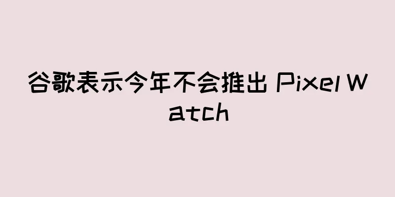 谷歌表示今年不会推出 Pixel Watch