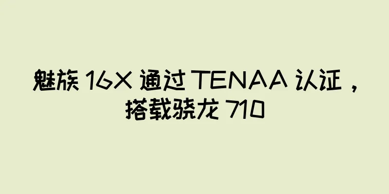 魅族 16X 通过 TENAA 认证，搭载骁龙 710