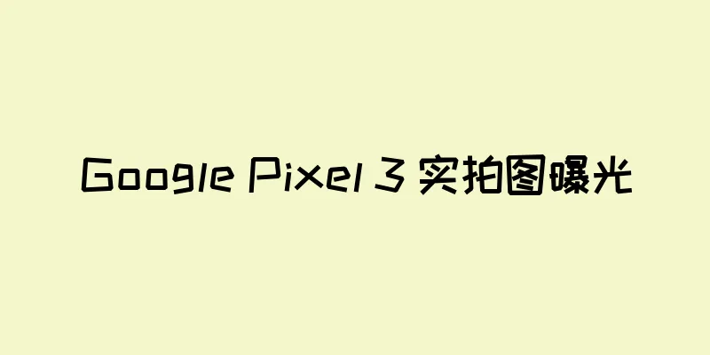 Google Pixel 3 实拍图曝光