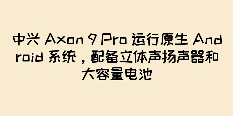 中兴 Axon 9 Pro 运行原生 Android 系统，配备立体声扬声器和大容量电池