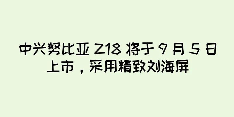 中兴努比亚 Z18 将于 9 月 5 日上市，采用精致刘海屏