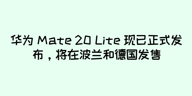 华为 Mate 20 Lite 现已正式发布，将在波兰和德国发售
