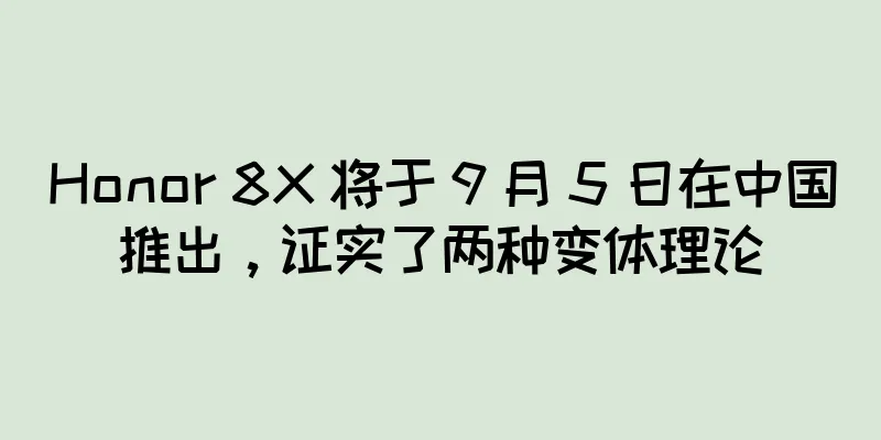Honor 8X 将于 9 月 5 日在中国推出，证实了两种变体理论