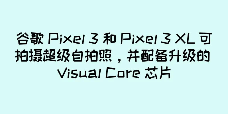 谷歌 Pixel 3 和 Pixel 3 XL 可拍摄超级自拍照，并配备升级的 Visual Core 芯片