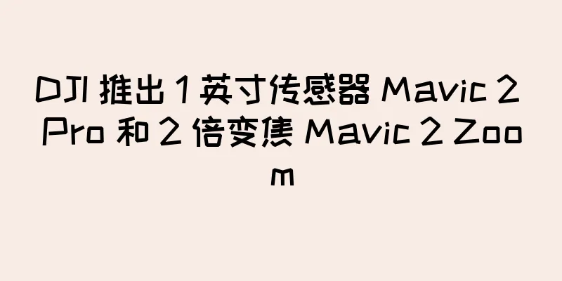 DJI 推出 1 英寸传感器 Mavic 2 Pro 和 2 倍变焦 Mavic 2 Zoom