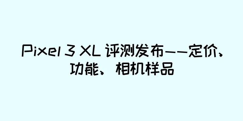 Pixel 3 XL 评测发布——定价、功能、相机样品