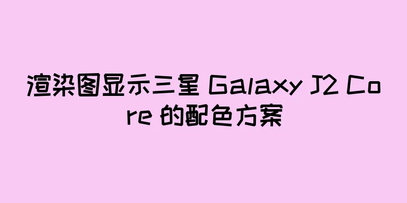渲染图显示三星 Galaxy J2 Core 的配色方案