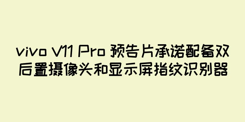 vivo V11 Pro 预告片承诺配备双后置摄像头和显示屏指纹识别器