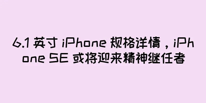 6.1 英寸 iPhone 规格详情，iPhone SE 或将迎来精神继任者