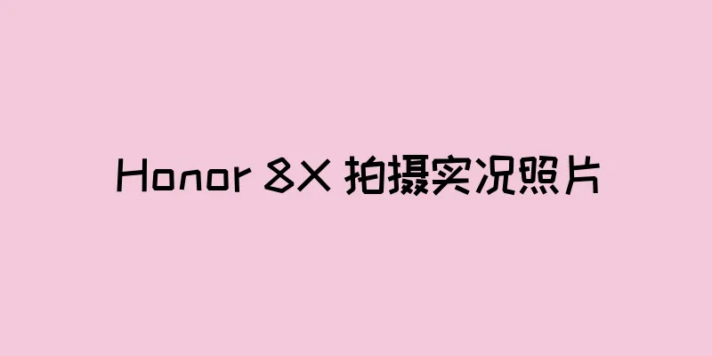 Honor 8X 拍摄实况照片