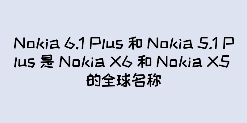 Nokia 6.1 Plus 和 Nokia 5.1 Plus 是 Nokia X6 和 Nokia X5 的全球名称