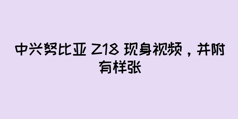 中兴努比亚 Z18 现身视频，并附有样张